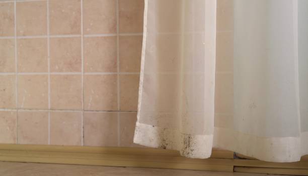 Best Mold Prevention Services  in North Sioux City, SD